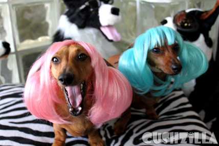 My Dogs Totally looks like every girl at every rave ever.