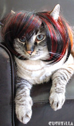 Cat Wig / Dog Wig : Cushzilla SHAAARON! Brunette Bowl Cut Wig