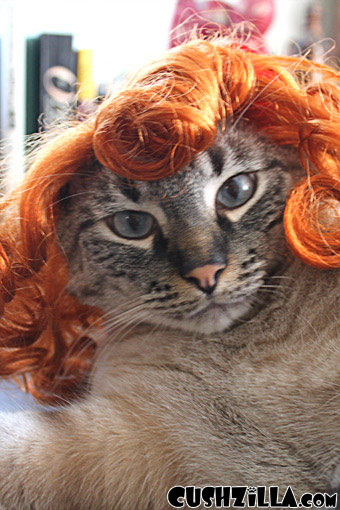 Curly Red Dog Wig / Red Cat Wig