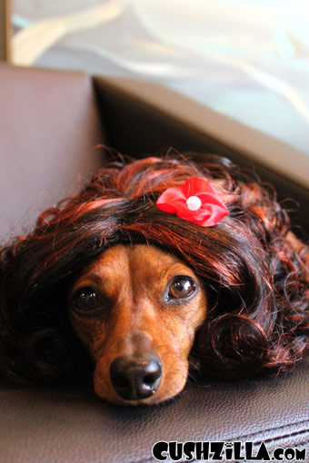 Brunette Dog Wig / Brunette Cat Wig