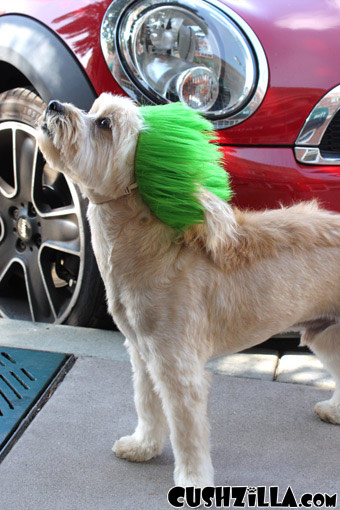 Green Spiky Punk Wig for Cats / Punk Wig for Dogs