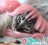 Pink Wig for Cats / Wig for Dogs