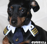 X-Small Pilot Shirt for Cats and Dogs