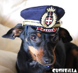 Captain Kitty Pilot Hat for Cat or Dog - XS