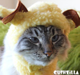 Sheep Costume for Cats & Dogs
