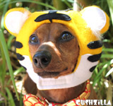 Tiger Costume for Dog or Cat