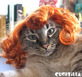 Cat Wig / Dog Wig: Cushzilla Curly Red Wig for Cats & Dogs