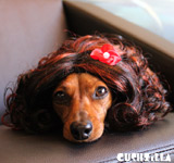 Brunette Dog Wig / Brunette Cat Wig