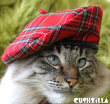 Plaid Hat for Cats / Plaid Hat for Dogs