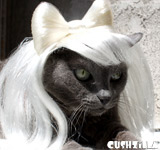 Lady Gaga Cat Wig / Lady Gaga Dog Wig - PLATINUM
