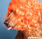 Orange Dog Wig / Orange Cat Wig