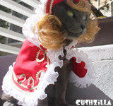 Prince Costume for Cat or Dog - CAPE ONLY