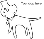 Your dog here