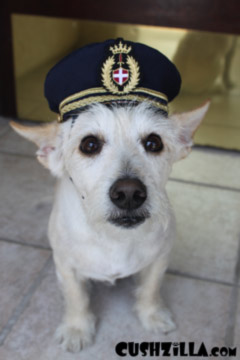 Dogfort Captain stands anxiously by.