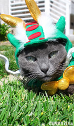 Dragon Costume for Cats And Dogs from Cushzilla