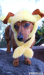 A Woof in Sheeps Clothing Costume for Dogs And Cats from Cushzilla