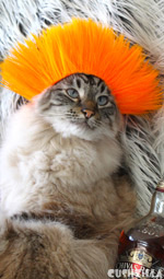 Dog Wig / Cat Wig: Cushzilla Beaker-Gone-Punker Orange Punk Wig