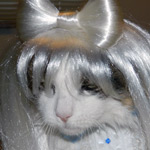 Lady Gaga Cat Wig / Lady Gaga Dog Wig - PLATINUM