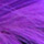 Cat Wig / Dog Wig: Cushzilla Lady Gaga Wig in Fancy Pants Purple
