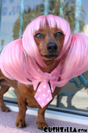 Dog Wig / Cat Wig: Cushzilla Pink Anime Pet Wig