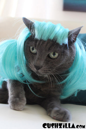 Cat Wig / Dog Wig: Cushzilla Aqua Anime Pet Wig
