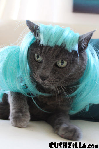 Aqua Blue Pet Wigs for Cats / Wigs for Dogs