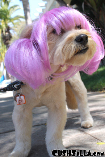 Dog Wig / Cat Wig: Cushzilla Anime Purple Pet Wig