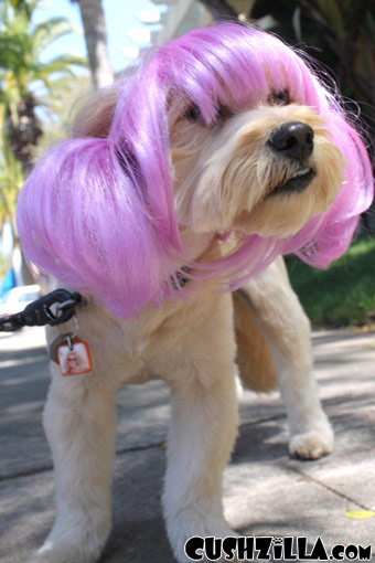 Lavender Pet Wigs for Cats / Wigs for Dogs