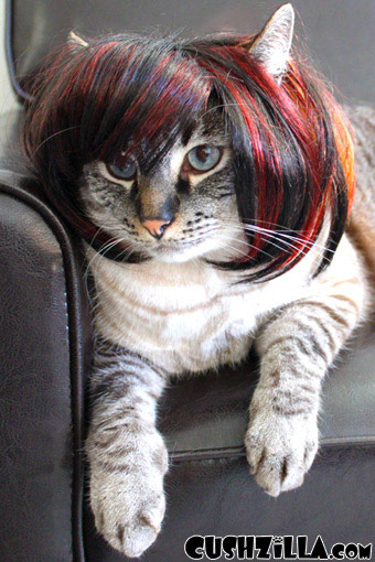 Brunette Dog Wig / Cat Wig - Bowl Cut Pet Wig