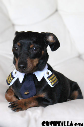 X-Small Pilot Shirt for Cats and Dogs