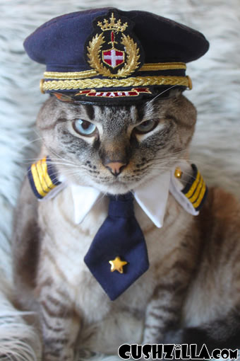 Cushzilla Captain Kitty  Pilot Uniform  for Cats  and Dogs 