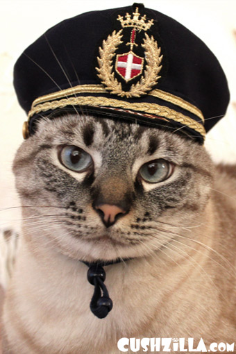 Pilot Hat for Cats: Small, from Cushzilla