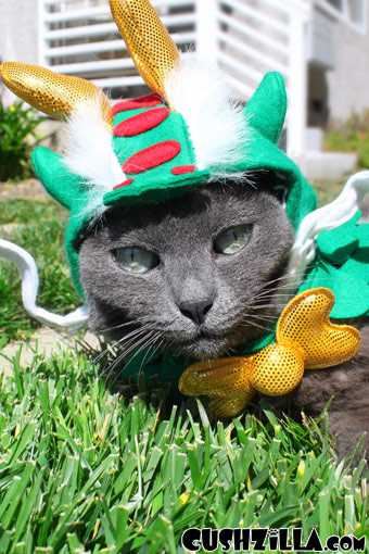 Dragon Costume for Dogs & Cats