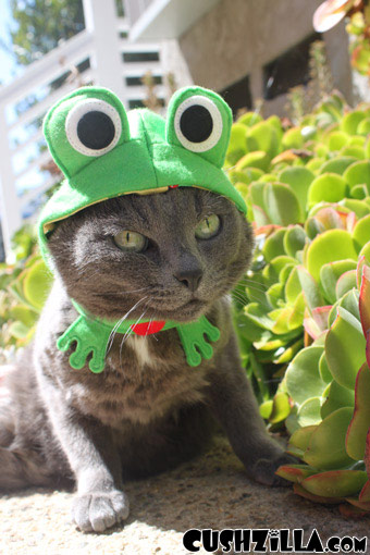 Frog Costume for Cats & Dogs from Cushzilla