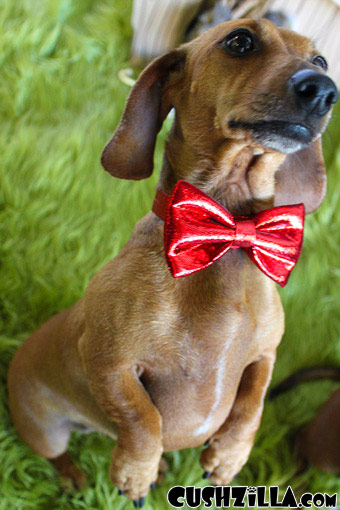 Bow Tie for Cats / Bow Tie for Dogs - Sparkly RED