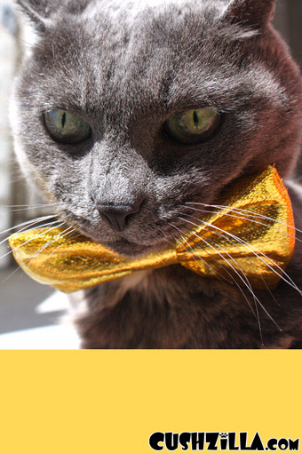 Bow Tie for Cats / Bow Tie for Dogs - Sparkly GOLD