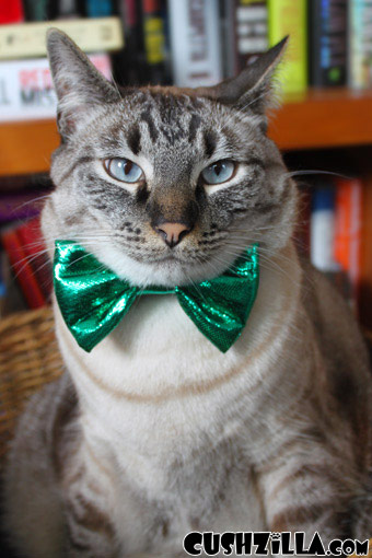 Bow Tie for Cats / Bow Tie for Dogs - Sparkly GREEN