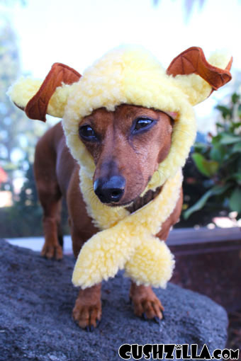 Sheep Costume for Cats & Dogs