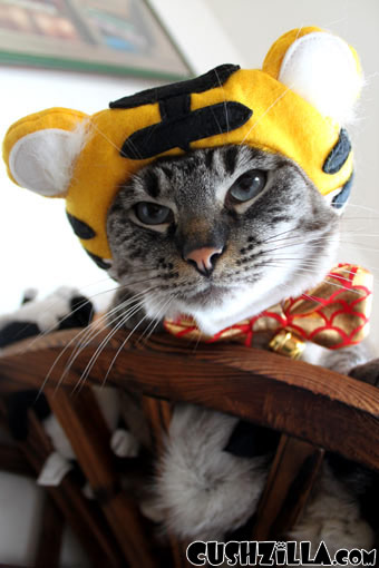 Tiger Costume for Dog or Cat