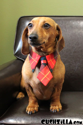 Necktie for Dog / Necktie for Cat - RED PLAID