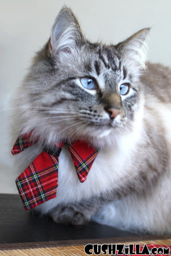Cat Necktie / Dog Necktie - Prep School Plaid Necktie from Cushzilla