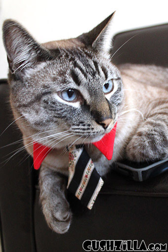 Red Business Tie for Dogs & Cats