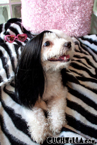 Classic Cher Long Black Straight Wig