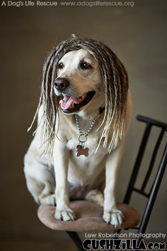 Dreadlock Dog Wig / Dreadlock Cat Wig