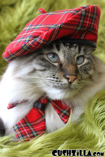 Plaid Hat for Cats / Plaid Hat for Dogs