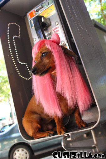 Cat Wig / Dog Wig: Cushzilla Lady Gaga Wig in Paparazzi Pink