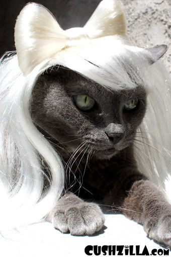 Lady Gaga Cat Wig / Lady Gaga Dog Wig - PLATINUM