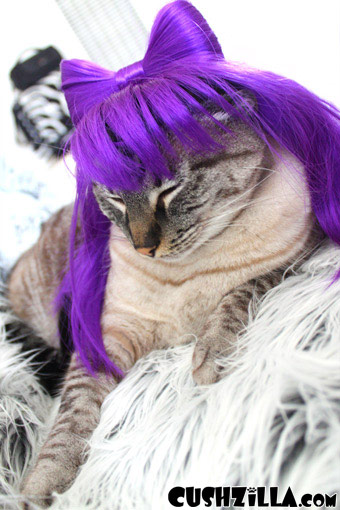 Lady Gaga Cat Wig / Lady Gaga Dog Wig - PURPLE