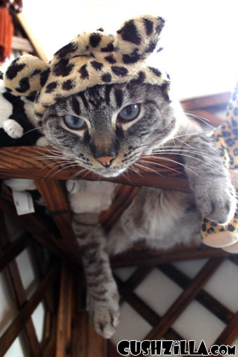 The Great Catsby Leopard Bonnet for Cats & Dogs from Cushzilla