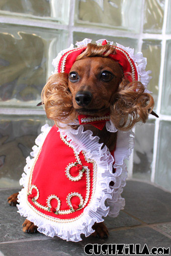 Prince Costume for Cat or Dog - CAPE ONLY